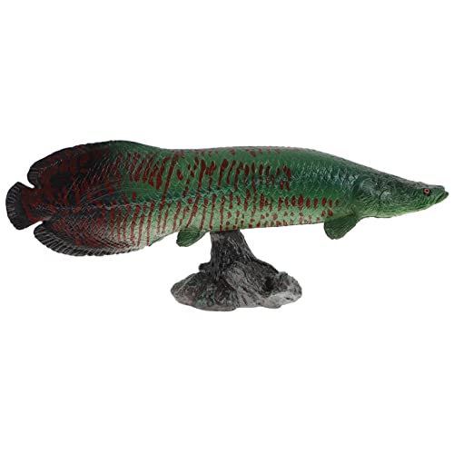 FUNNETOYU Adorable Fischfigur für Tier Modell Kognitives für Mädchen Dekoratives Desktop für Kreative Spielstunden und Stimmungsvolle Raumgestaltung FUNNETOYU Adorable Fischfigur für Tier Modell Kognitives für Mädchen Dekoratives Desktop für Kreative Spielstunden und Stimmungsvolle Raumgestaltung von FUNNETOYU