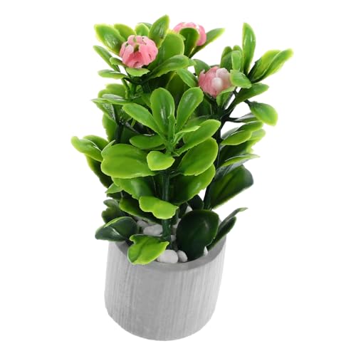 FUNNETOYU Miniatur Bonsai Pflanze Im Topf Kunstpflanze Für Deko Kleine Künstliche Grünpflanze Als Wohnaccessoire Für Miniaturgärten Und Kreative Raumgestaltung FUNNETOYU Miniatur Bonsai Pflanze Im Topf Kunstpflanze Für Deko Kleine Künstliche Grünpflanze Als Wohnaccessoire Für Miniaturgärten Und Kreative Raumgestaltung von FUNNETOYU