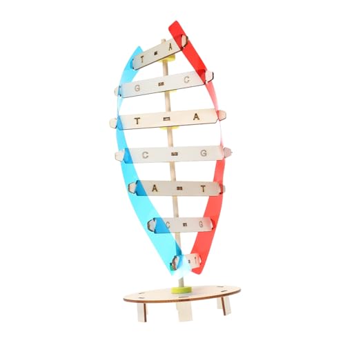 FUNNETOYU DIY DNA Modell Wissenschaftliches Lernspielzeug Bausatz Doppelhelix Pädagogisches Experiment Fördert Feinmotorik und Naturwissenschaftliche Bildung FUNNETOYU DIY DNA Modell Wissenschaftliches Lernspielzeug Bausatz Doppelhelix Pädagogisches Experiment Fördert Feinmotorik und Naturwissenschaftliche Bildung von FUNNETOYU