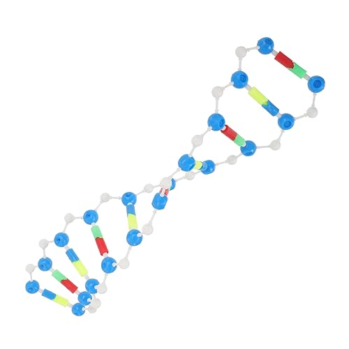 FUNNETOYU DNA Modell Bausatz Pädagogisches Menschliches DNA Modell mit Doppelhelixstruktur Wissenschaftliches Lehrmittel für Experimentiergerät für Biologieunterricht FUNNETOYU DNA Modell Bausatz Pädagogisches Menschliches DNA Modell mit Doppelhelixstruktur Wissenschaftliches Lehrmittel für Experimentiergerät für Biologieunterricht von FUNNETOYU