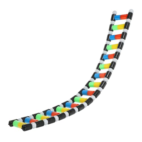 FUNNETOYU DNA Modell Doppelhelix Wissenschaftliches Lernspielzeug für Biologieunterricht Klassenzimmerdekor Abnehmbar und Sicher aus Fördert Kreativität FUNNETOYU DNA Modell Doppelhelix Wissenschaftliches Lernspielzeug für Biologieunterricht Klassenzimmerdekor Abnehmbar und Sicher aus Fördert Kreativität von FUNNETOYU