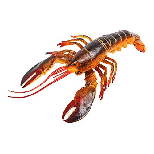 FUNNETOYU Hummer kognitives Modell hühner Educational Toys Tiermodell gefälschter Hummer realistischer Hummer Tiere Simulations-Hummer-Schmuck Hummererkennungsmodell Plastik von FUNNETOYU