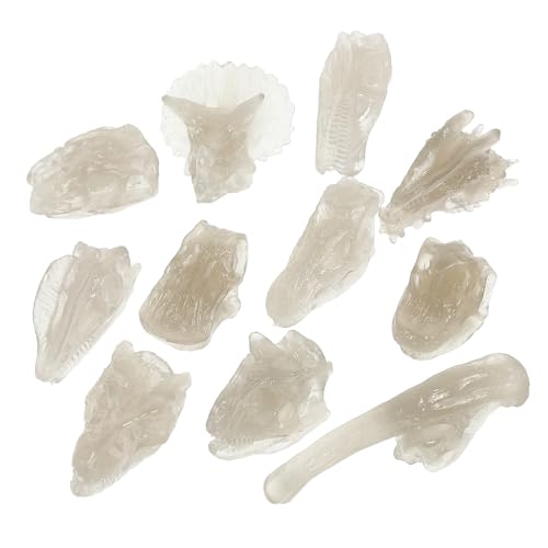 FUNNETOYU Leuchtendes Dinosaurier Knochen Ausgrabungsset Fossil Modell PVC Langlebig Nachtlicht Dinosaurier Schädel für Jungen Mädchen von FUNNETOYU