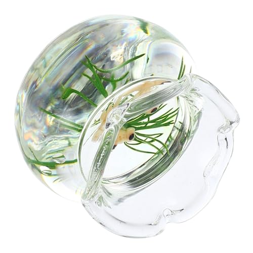 FUNNETOYU Mikro-Landschaftsglas-Aquarium Wasser Dekorationen für Aquarien Vakuum Fischtankdekor wohnungseinrichtung Home Decoration Miniatur-Puppenhauszubehör Mini-Hausaquarium Harz Yellow von FUNNETOYU