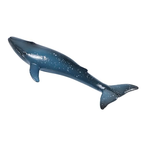 FUNNETOYU Modellspielzeug Realistisches Kunststoffspielzeug Kreative Dekoration für Aquarien und Räume Fördert Fantasievolles Lernspielzeug FUNNETOYU Modellspielzeug Realistisches Kunststoffspielzeug Kreative Dekoration für Aquarien und Räume Fördert Fantasievolles Lernspielzeug von FUNNETOYU