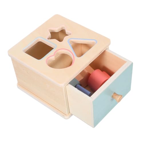 FUNNETOYU Montessori Farb und Formsortierbox Holzspielzeug für Kleinkinder Frühpädagogisches Lernspielzeug Feinmotorik Problemlösung und Farberkennung von FUNNETOYU