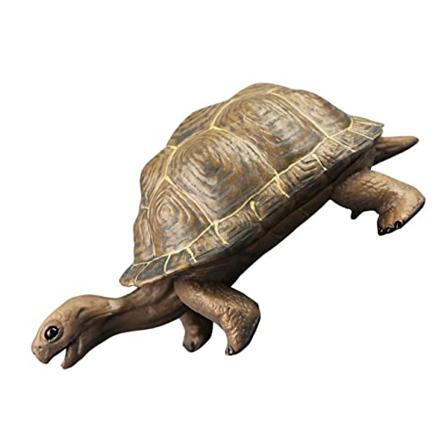 FUNNETOYU Realistische Plastikturtle Figur für Kognitive Schildkröte Modell zur Dekoration für Schreibtisch und Tier Themenpartys Fördert Kreativität und Tierwissen FUNNETOYU Realistische Plastikturtle Figur für Kognitive Schildkröte Modell zur Dekoration für Schreibtisch und Tier Themenpartys Fördert Kreativität und Tierwissen von FUNNETOYU