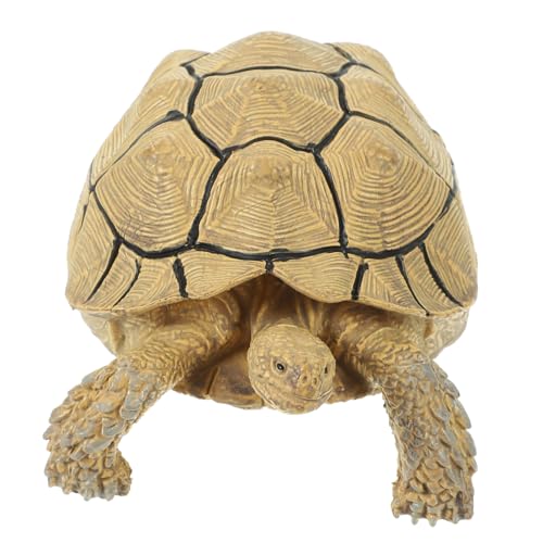 FUNNETOYU Realistische Schildkrötenfigur aus Pädagogisches Tiermodell für Stabile Dekoration für Schlafzimmer und Garten Tierspielzeug zur Tiererkennung Sukada Schildkröte Beige FUNNETOYU Realistische Schildkrötenfigur aus Pädagogisches Tiermodell für Stabile Dekoration für Schlafzimmer und Garten Tierspielzeug zur Tiererkennung Sukada Schildkröte Beige von FUNNETOYU