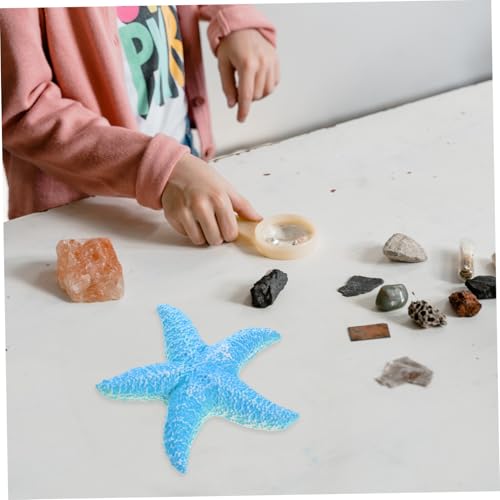 FUNNETOYU Realistische Seestern Figur Weiches Material Tiermodell Pädagogisches Dekorativ für Kinderzimmer und Aquarium Fördert Kreativität und über Meeresbewohner von FUNNETOYU