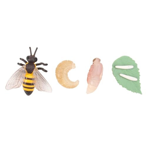 FUNNETOYU Realistisches Animal Evolution Model Bienen Lebenszyklus Simulation Lernspielzeug Material Pädagogisch Geeignet als Storytelling Dekoration von FUNNETOYU