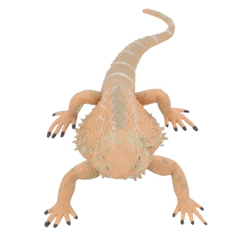 FUNNETOYU Realistisches Bartagamen Reptilien Modell Pädagogische Echsen Figur Lebensechte Deko für Garten und Lernspielzeug von FUNNETOYU