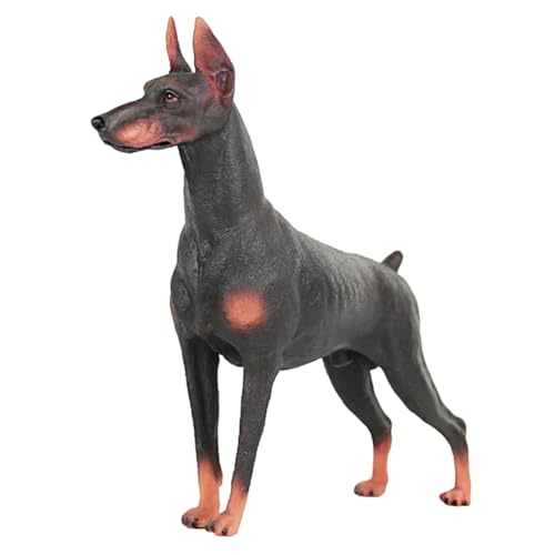 FUNNETOYU Realistisches Dobermann Hunde Modell aus Kunststoff Lebensechte Tierfigur Robustes Kinderspielzeug Dekorative Hundestatue für Zuhause Fördert Kindliche Fantasie und Lernspaß FUNNETOYU Realistisches Dobermann Hunde Modell aus Kunststoff Lebensechte Tierfigur Robustes Kinderspielzeug Dekorative Hundestatue für Zuhause Fördert Kindliche Fantasie und Lernspaß von FUNNETOYU