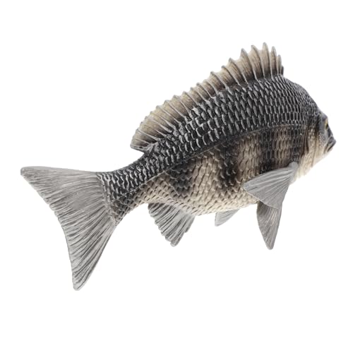 FUNNETOYU Realistisches Fischmodell Imitation Meeresbewohner aus Solidem Kunststoff Pädagogisches Tiermodell zur Frühkindlichen und Dekoration Farbenfrohes Lernspielzeug für Mädchen Jungen von FUNNETOYU
