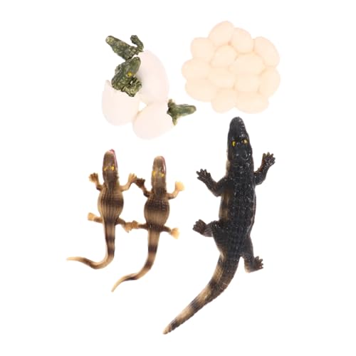 FUNNETOYU Realistisches Krokodil Lebenszyklus Spielset aus Umweltfreundliches Lernspielzeug für Foto Requisit und Spannende Meereswelt Simulation für Frühe Bildung von FUNNETOYU