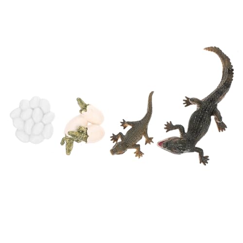 FUNNETOYU Realistisches Krokodil Wachstumszyklus Modell Teiliges Tierfigur Pädagogisches Lernspielzeug für Kreative Entwicklung und Schulprojekte FUNNETOYU Realistisches Krokodil Wachstumszyklus Modell Teiliges Tierfigur Pädagogisches Lernspielzeug für Kreative Entwicklung und Schulprojekte von FUNNETOYU