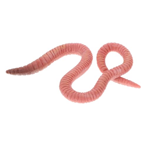 FUNNETOYU Realistisches Regenwurm Modellspielzeug Lebensechte Simulation aus Sicherem Pädagogisches Insekten Lernspielzeug Vorstellungskraft und FUNNETOYU Realistisches Regenwurm Modellspielzeug Lebensechte Simulation aus Sicherem Pädagogisches Insekten Lernspielzeug Vorstellungskraft und von FUNNETOYU