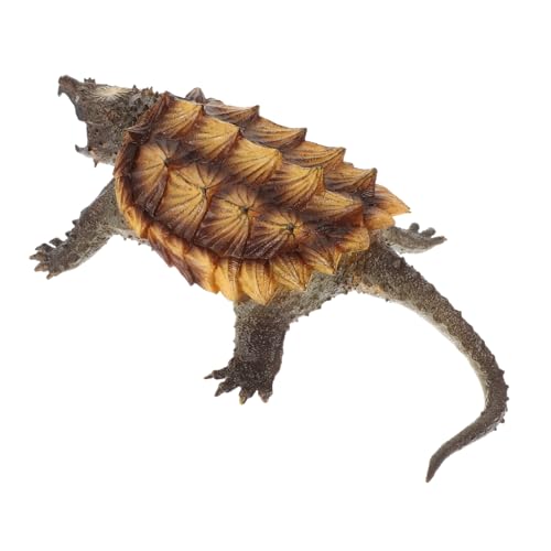 FUNNETOYU Schnappschildkröte Schmuck Spielzeug Modell Wohnkultur Figurine Für Zuhause Oder Büro Dekoration Mit Natürlicher Optik Und Klaren Linien von FUNNETOYU