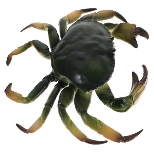 FUNNETOYU Simulation Krabbenmodell aus Kunststoff Lebensechte Dekoration für Kinderzimmer Aquarien und Kreative Lernspiele Realistische Krabbenfigur mit Lebendigen Farben und Details von FUNNETOYU