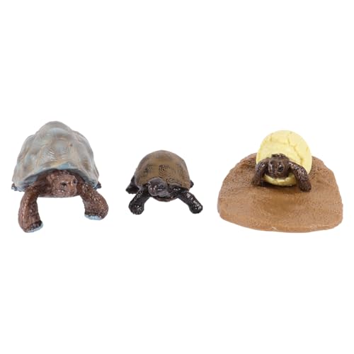 FUNNETOYU Simulation Schildkröten Lebenszyklus Figurines Pädagogisches Lernspielzeug Naturgetreue Wachstumsphase Modell Tierfiguren für Dekoration FUNNETOYU Simulation Schildkröten Lebenszyklus Figurines Pädagogisches Lernspielzeug Naturgetreue Wachstumsphase Modell Tierfiguren für Dekoration von FUNNETOYU
