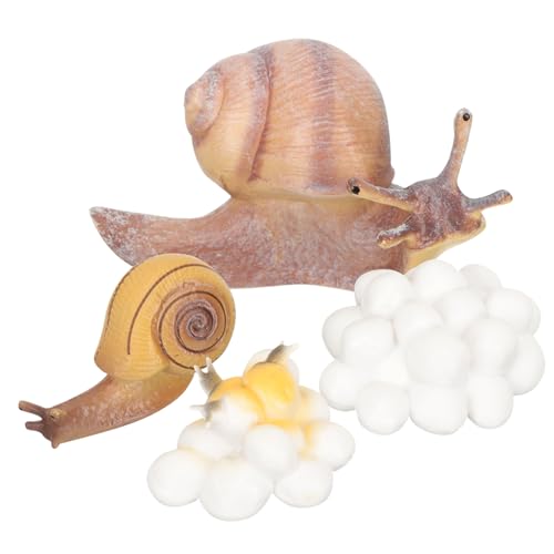 FUNNETOYU Tierwachstumszyklus Modellspielzeug Teiliges Realistische Schnecke und Küken Lernspielzeug für Vorschulkinder Pädagogisch Geeignet Jungen Mädchen FUNNETOYU Tierwachstumszyklus Modellspielzeug Teiliges Realistische Schnecke und Küken Lernspielzeug für Vorschulkinder Pädagogisch Geeignet Jungen Mädchen von FUNNETOYU