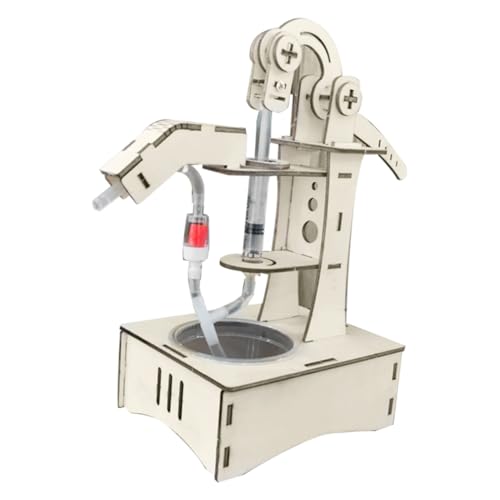 FUNNETOYU Wasserspielzeug Pumpenexperiment Modell Wasserpumpe Physik Experiment Lernspielzeug für Stem Wissenschaft DIY Experimentierset von FUNNETOYU
