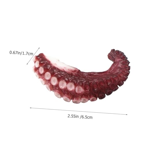 FUNOMOCYA 10 Stück Teiliges Realistisch Aussehender Tentakel Deko Modell Langlebig und Wiederverwendbar Lebensechte und Farbe Glatte Oberfläche für Sushi läden Schaufenster und FUNOMOCYA 10 Stück Teiliges Realistisch Aussehender Tentakel Deko Modell Langlebig und Wiederverwendbar Lebensechte und Farbe Glatte Oberfläche für Sushi läden Schaufenster und von FUNOMOCYA