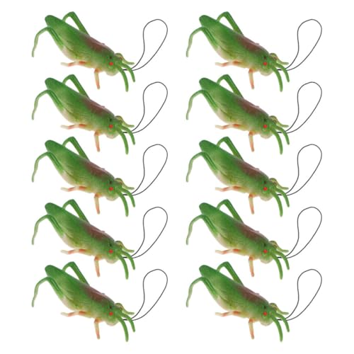 FUNOMOCYA 10 Stück Teiliges TPR Realistische Grüne Insektenfiguren Pädagogische Tiermodelle als Goodie Bag Füller und Lernspielzeug für Naturentdeckung FUNOMOCYA 10 Stück Teiliges TPR Realistische Grüne Insektenfiguren Pädagogische Tiermodelle als Goodie Bag Füller und Lernspielzeug für Naturentdeckung von FUNOMOCYA