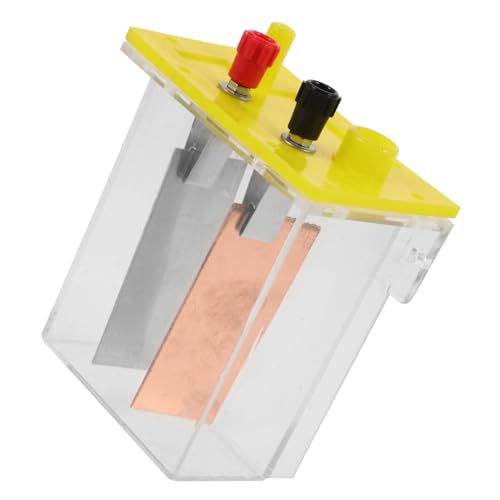 FUNOMOCYA 1Satz DIY Fruchtbatterie Experiment mit Salzlösung Metallplatten für Physikunterricht Fördert Verständnis Alternativer Energiequellen von FUNOMOCYA