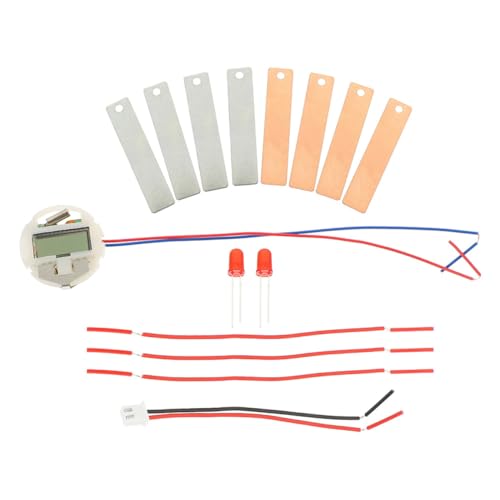 FUNOMOCYA 2 Sätze Materialien Für Batterieexperimente Fruchtbatterie-leuchtdioden-wissenschaftskit Batteriephysik-lehrexperiment Zubehör Metall Selbstgemacht Student von FUNOMOCYA