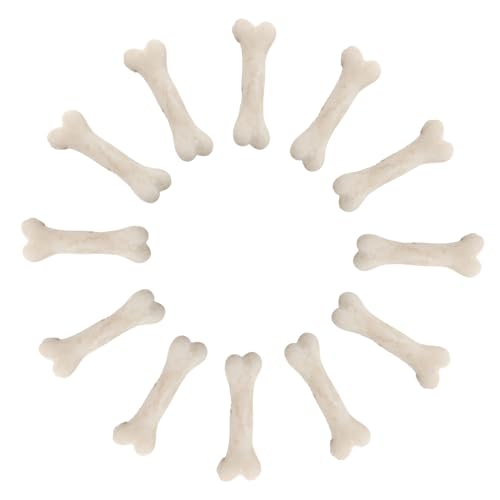 FUNOMOCYA 20 Stück Mini-Knochenmodell deko Künstliche Knochenornamente Mini-Skelett aus Harz simulatives Skelett falsche Knochen Beige von FUNOMOCYA