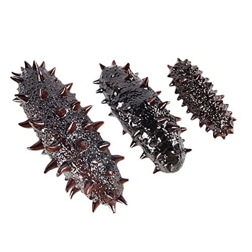 FUNOMOCYA 3 Stück Teiliges Sea Cucumber Modell aus Hochwertigem PVC Realistische Nachbildung für Lernspielzeug und Fotorequisiten für Kindergarten Restaurant Heimdekoration FUNOMOCYA 3 Stück Teiliges Sea Cucumber Modell aus Hochwertigem PVC Realistische Nachbildung für Lernspielzeug und Fotorequisiten für Kindergarten Restaurant Heimdekoration von FUNOMOCYA