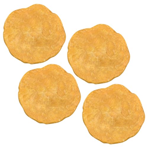 FUNOMOCYA 4 Stück Geldwanzen- fossilien agypten mockin dekoring unterrichtsmaterial decor Dekoration modell Probe versteinerter Nummulite Desktop-Ornament Lehrwerkzeug Orange von FUNOMOCYA