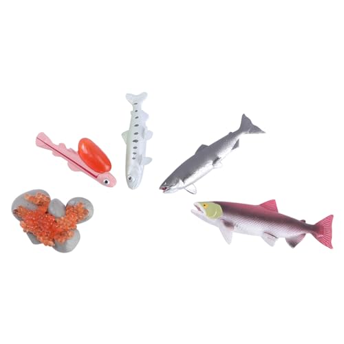 FUNOMOCYA 4 Stück Realistische Lachs Modellspielzeuge Set Kinderkognitive Lernhilfe Lebendige Fischfiguren Sicher Langlebig für Frühe Bildung und Fantasievolles Zufällige Zufällige Farbe FUNOMOCYA 4 Stück Realistische Lachs Modellspielzeuge Set Kinderkognitive Lernhilfe Lebendige Fischfiguren Sicher Langlebig für Frühe Bildung und Fantasievolles Zufällige Zufällige Farbe von FUNOMOCYA