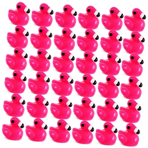 FUNOMOCYA 80 Stück Mini Flamingos Teiliges Resin Tierfiguren für Dekoration Puppenhaus Bonsai Garten Versatile Flamingo Ornamente mit Einzigartigem Design und Lebendigen Farben FUNOMOCYA 80 Stück Mini Flamingos Teiliges Resin Tierfiguren für Dekoration Puppenhaus Bonsai Garten Versatile Flamingo Ornamente mit Einzigartigem Design und Lebendigen Farben von FUNOMOCYA