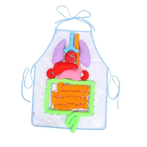 FUNOMOCYA Anatomie Schürze Menschliche Organe Lernhilfe Vorschule Bildungsgerät für Körperteile Lernen und Frühpädagogik mit Herz Lunge Leber Darm Nieren Blase Trachea FUNOMOCYA Anatomie Schürze Menschliche Organe Lernhilfe Vorschule Bildungsgerät für Körperteile Lernen und Frühpädagogik mit Herz Lunge Leber Darm Nieren Blase Trachea von FUNOMOCYA