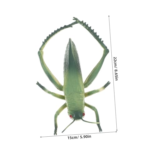 FUNOMOCYA Handgefertigte Insektenspielzeuge Kunststoff Realistische Dekoration für Partys und Lernspiele für Kreative Anlässe Langlebig und Gestaltet FUNOMOCYA Handgefertigte Insektenspielzeuge Kunststoff Realistische Dekoration für Partys und Lernspiele für Kreative Anlässe Langlebig und Gestaltet von FUNOMOCYA