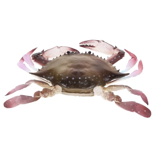 FUNOMOCYA Lebensechte Krabbenfigur Realistisches Krabbenmodell aus PVC für Aquarien Dekoration Lernspielzeug für Ocean Animal Ornament FUNOMOCYA Lebensechte Krabbenfigur Realistisches Krabbenmodell aus PVC für Aquarien Dekoration Lernspielzeug für Ocean Animal Ornament von FUNOMOCYA