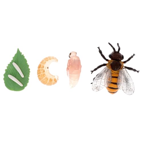 FUNOMOCYA Lernspielzeug Bienen Lebenszyklus Modellset Realistische Mini Insekten Figuren Pädagogisches Wachstumszyklus für Mädchen Jungen für Schule Unterricht und Geburtstag von FUNOMOCYA