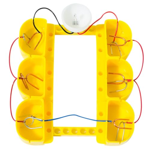 FUNOMOCYA Obstbatterie Experimentierset für Grundschule Stem Wissenschaftsspielzeug DIY Physik Experiment Kit Fördert Kindliche Kreativität und Praktisches Lernen für Schule und Zuhause von FUNOMOCYA
