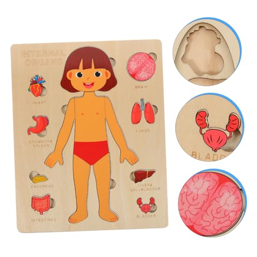 FUNOMOCYA Pädagogisches Holz Körperpuzzle mit Abnehmbaren Organen Natürliches Material Fördert Kognitive Fähigkeiten Lernspielzeug für Jungen Mädchen Ab Jahren Montessori Anatomie Puzzle von FUNOMOCYA