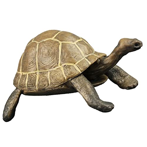 FUNOMOCYA Plastikschildkrötenmodell Dekorative Schildkrötenfigur für Wohnkultur Realistisch und Farbenfroh für Terrarien und Themenbezogene Partys FUNOMOCYA Plastikschildkrötenmodell Dekorative Schildkrötenfigur für Wohnkultur Realistisch und Farbenfroh für Terrarien und Themenbezogene Partys von FUNOMOCYA