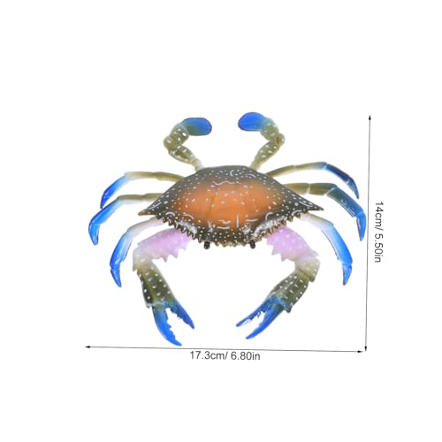 FUNOMOCYA Realistische Kleine Blaue Fußkrabbe Figur aus Robustem Kunststoff Kindgerechtes Meereslebewesen Dekoratives Schmuckstück für Garten Blumentopf und Lernspiele FUNOMOCYA Realistische Kleine Blaue Fußkrabbe Figur aus Robustem Kunststoff Kindgerechtes Meereslebewesen Dekoratives Schmuckstück für Garten Blumentopf und Lernspiele von FUNOMOCYA