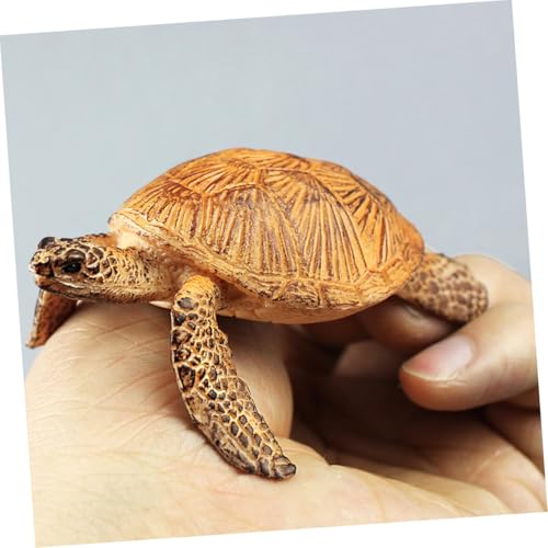FUNOMOCYA Realistische Schildkrötenfigur aus Hochwertigem Kunststoff Detailgetreues Tortoise Modell Farbenfrohes Deko Kinderzimmer Garten und Party Kleines Tierfiguren FUNOMOCYA Realistische Schildkrötenfigur aus Hochwertigem Kunststoff Detailgetreues Tortoise Modell Farbenfrohes Deko Kinderzimmer Garten und Party Kleines Tierfiguren von FUNOMOCYA