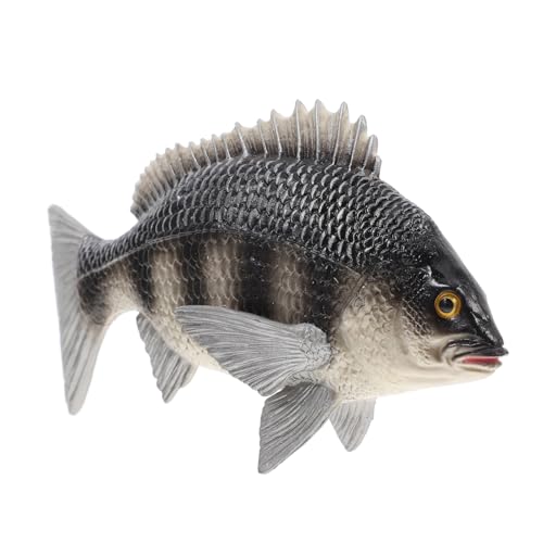 FUNOMOCYA Realistisches Fischmodell Bream Dekoration Lernspielzeug aus Solidem Kunststoff Pädagogisch Geeignet für Kinderzimmer Wohnaccessoire und Frühe Bildung FUNOMOCYA Realistisches Fischmodell Bream Dekoration Lernspielzeug aus Solidem Kunststoff Pädagogisch Geeignet für Kinderzimmer Wohnaccessoire und Frühe Bildung von FUNOMOCYA