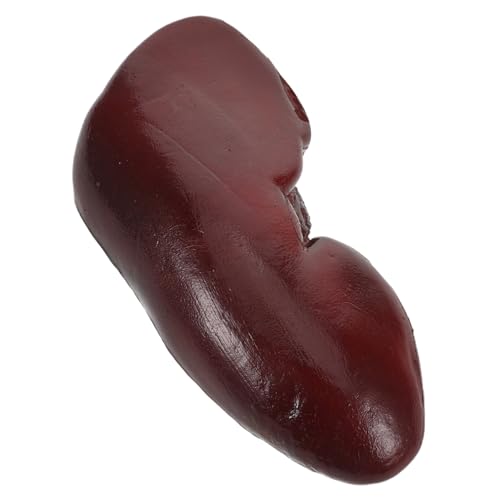 FUNOMOCYA Realistisches Halloween Fake Nieren Requisit Detailgetreues Schweinenieren Modell Prank für Partydekoration Cosplay Gruselige Deko Fotorequisit Sammlerzubehör von FUNOMOCYA
