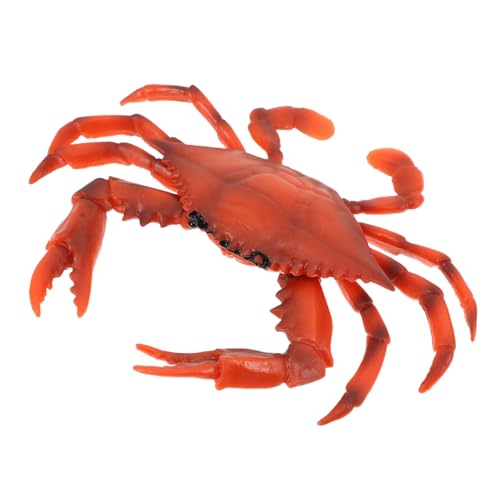 FUNOMOCYA Realistisches Krabbenmodell Meerestier Simulation Deko Figur Robust Langlebig Pädagogisch für Lernspielzeug Meereswelt Desktop Dekoration FUNOMOCYA Realistisches Krabbenmodell Meerestier Simulation Deko Figur Robust Langlebig Pädagogisch für Lernspielzeug Meereswelt Desktop Dekoration von FUNOMOCYA