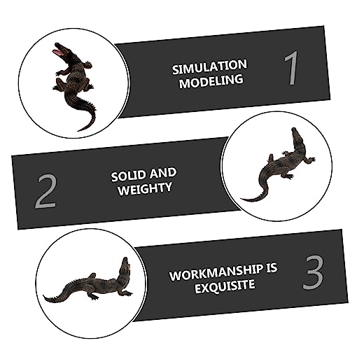 FUNOMOCYA Realistisches Krokodil Modell aus Robustem Pädagogisches Wildtier für Fördert Naturverständnis und Fantasievolles Detailgetreue Tierfigur für Frühe Bildung FUNOMOCYA Realistisches Krokodil Modell aus Robustem Pädagogisches Wildtier für Fördert Naturverständnis und Fantasievolles Detailgetreue Tierfigur für Frühe Bildung von FUNOMOCYA