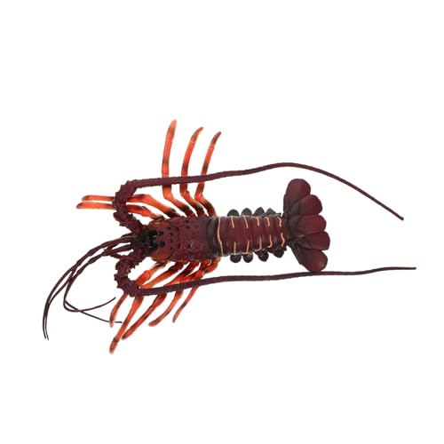 FUNOMOCYA Realistisches Lobster Modell aus Kunststoff Naturgetreues Meeresbiologie Dekoration Pädagogisches Krebsmodell für Vielseitiges Meerestier Ornament von FUNOMOCYA
