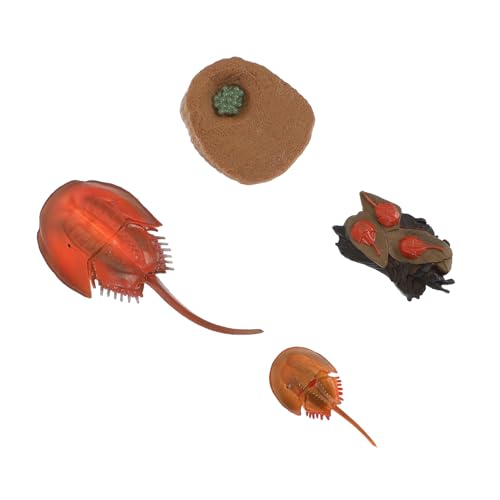 FUNOMOCYA Realistisches Mini Meerestiere Simulation Modell Lernspielzeug Bastelset Pädagogisch Robust Korrosionsbeständig Vielseitig als Dekoration und Unterrichtshilfe Geeignet von FUNOMOCYA