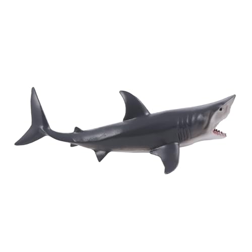 FUNOMOCYA Realistisches Simulation Fisch Modell aus Hochwertigem Kunststoff Pädagogisches Meerestiere für Fördert Kreativität und Tiererkennung Robustes Lernmodell FUNOMOCYA Realistisches Simulation Fisch Modell aus Hochwertigem Kunststoff Pädagogisches Meerestiere für Fördert Kreativität und Tiererkennung Robustes Lernmodell von FUNOMOCYA